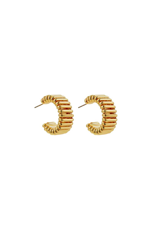AYLA HOOPS Earrings F&D 